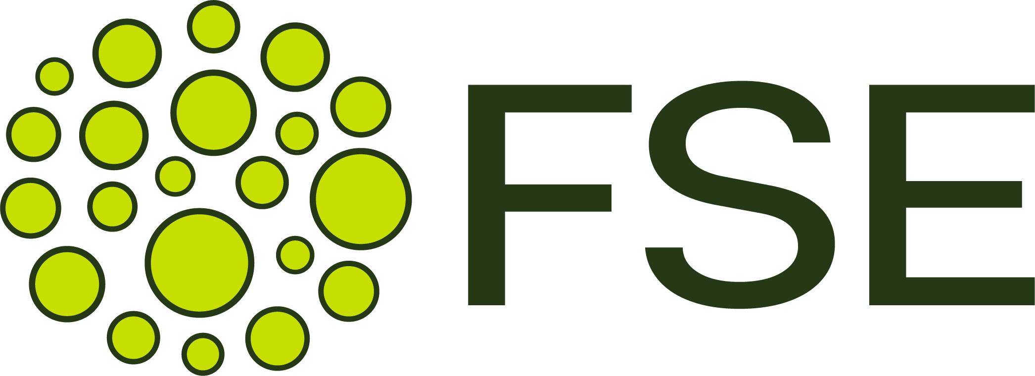 FSE Microfinance Bank